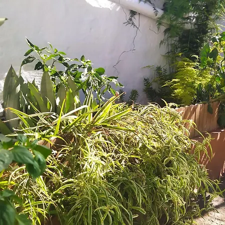 Edara - Haus Mit Privatem Garten By Interhome בית נופש *