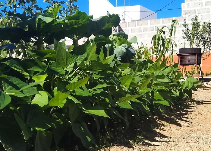 Edara - Haus Mit Privatem Garten By Interhome * Gáldar