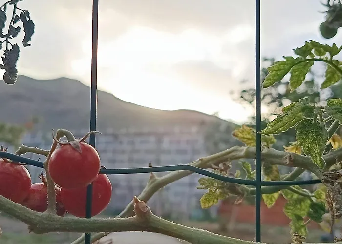 Edara - Haus Mit Privatem Garten By Interhome *