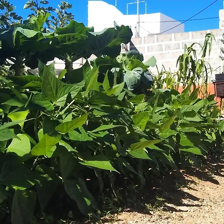 Edara - Haus Mit Privatem Garten By Interhome * Gáldar