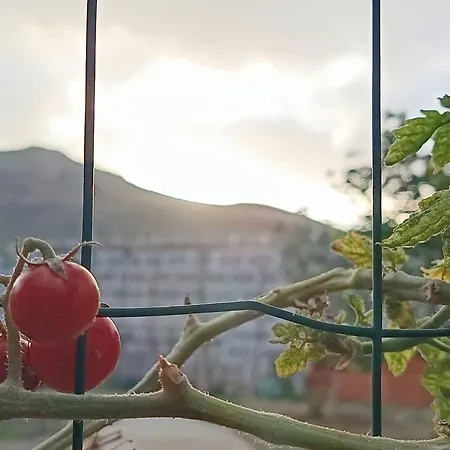 Edara - Haus Mit Privatem Garten By Interhome *