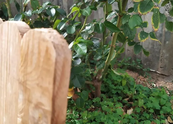 Casa de Férias Edara - Haus Mit Privatem Garten By Interhome Gáldar