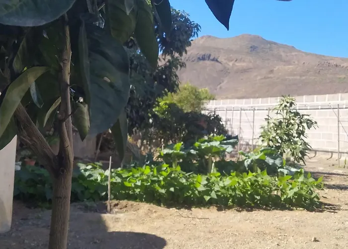 Casa de Férias Edara - Haus Mit Privatem Garten By Interhome