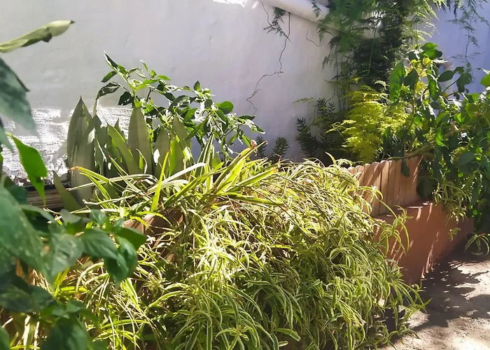 Edara - Haus Mit Privatem Garten By Interhome Casa de Férias *